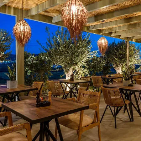 酒店 Panormos Bay Luxury